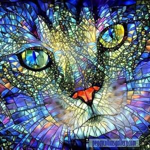 Meet your Posher, Maryanne